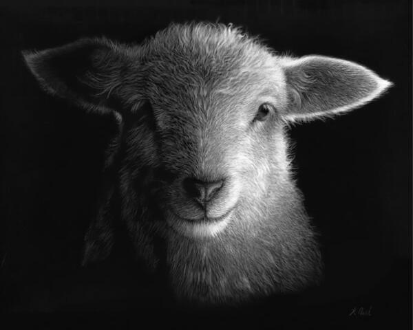 Two Shakes Of A Lamb's Tail - Box Framed or Mattboard Only