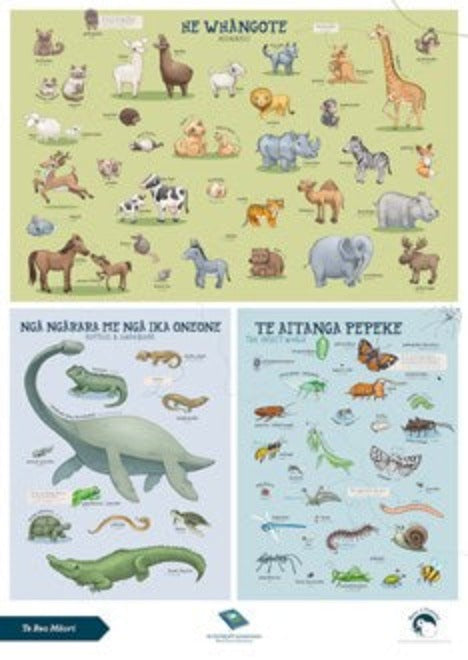A2 Poster - Te Reo Māori - Animals