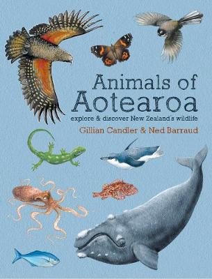 Animals of Aotearoa Kid's Book