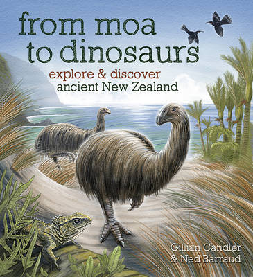 From Moa to Dinosaurs - Explore & Discover Ancient New Zealand