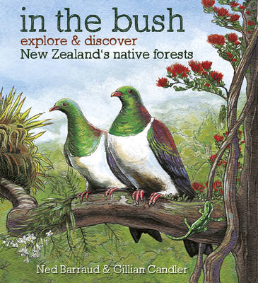 In the Bush - Explore & Discover the New Zealand's Native Forests