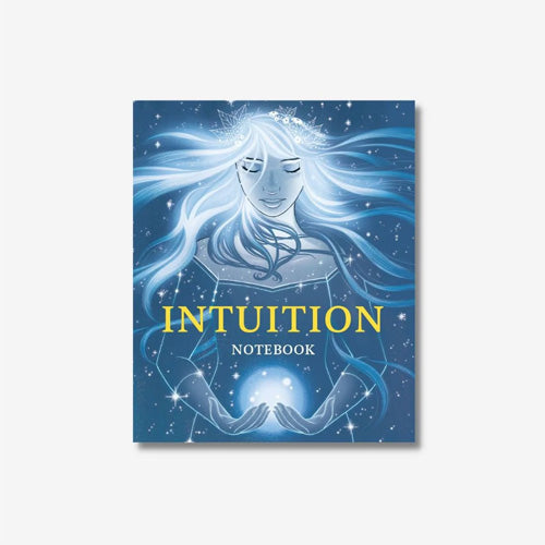 Intuition Notebook