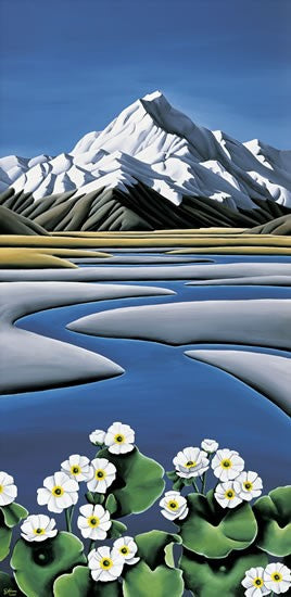 Mt Cook Paper Print