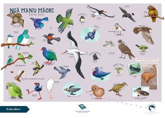 Native Birds A3 Poster
